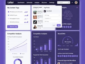 Later Analytics Evolution: Custom Post Tagging and Competitive Benchmarking Transform Social Media Measurement
